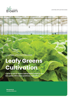 leafy greens cultivation guide
