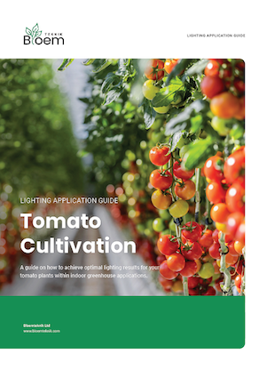 Tomato cultivation guide