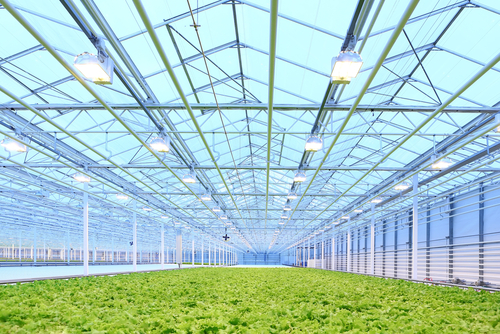 greenhouse hps lighting