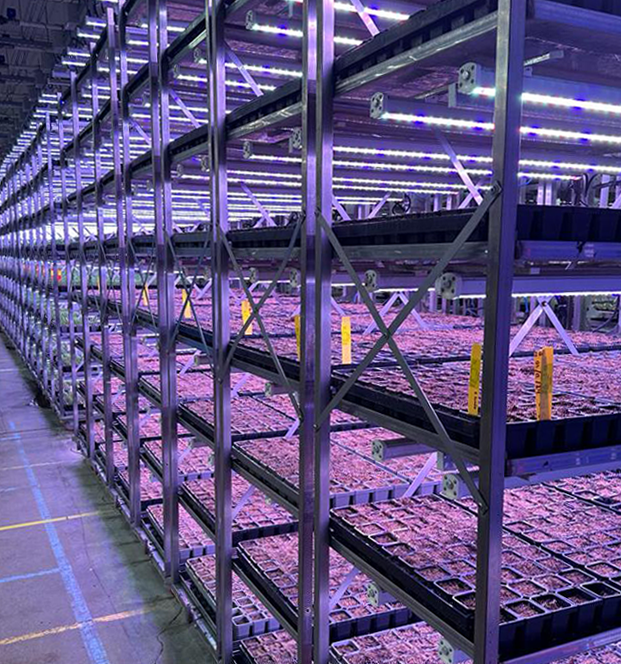 customised led lighting