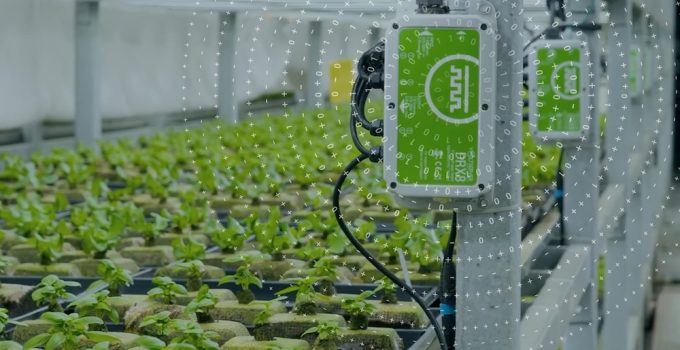 Bloemteknik Announces Partnership with VoltServer to Radically Reduce Vertical Farm CAPEX & OPEX