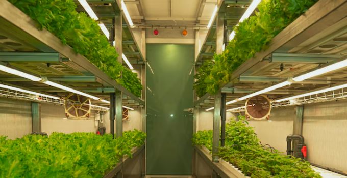 The Importance of Good Installation for Vertical Farms