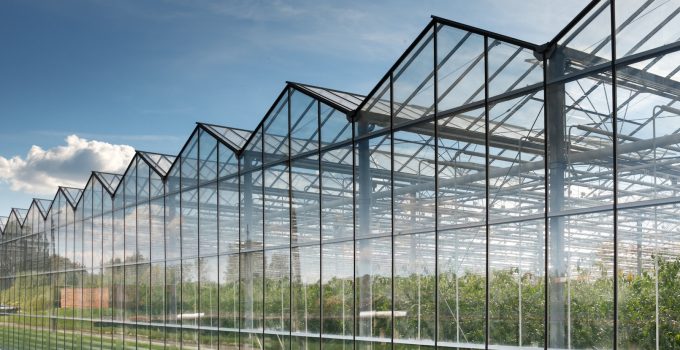 Lighting Challenges for Finnish Greenhouse Growers
