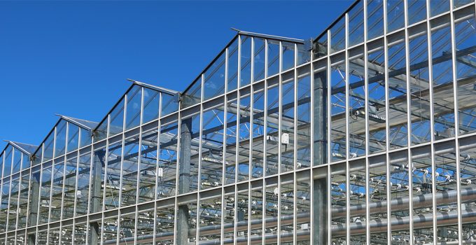 Bloem and Helle-Tech Announce a Pioneering Partnership to Revolutionise Greenhouse Lighting in Finland 
