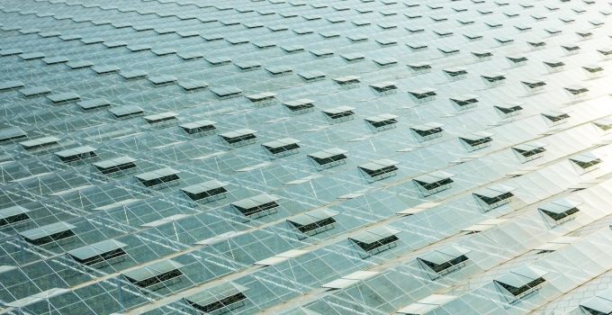 Lighting 101: Dynamic Lighting in Controlled Environment Agriculture (CEA)