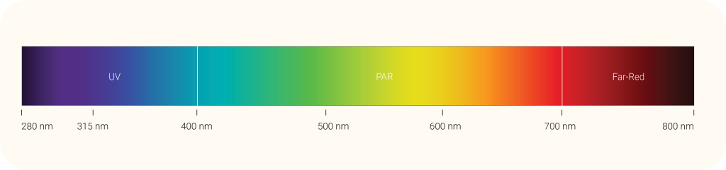 light spectrum