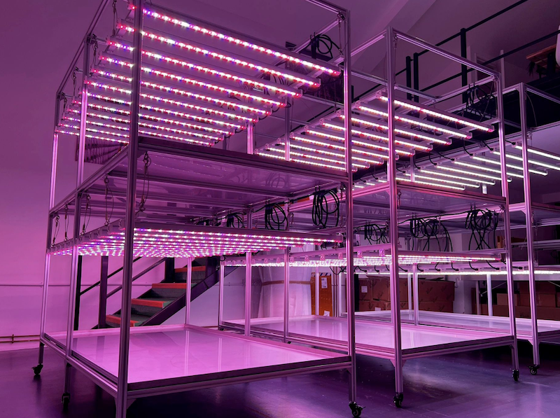 led lights