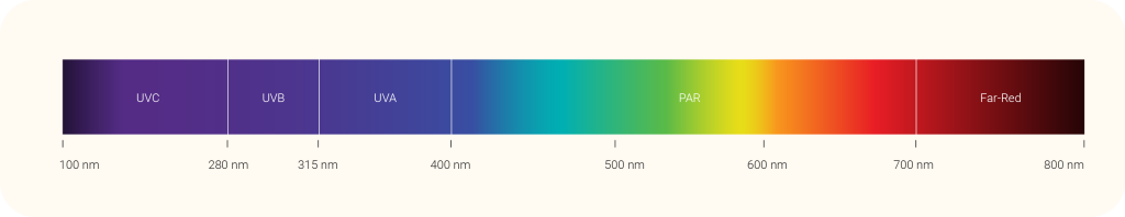 light spectrum