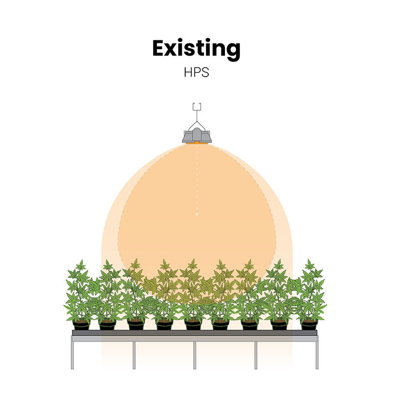 led light beam cannabis