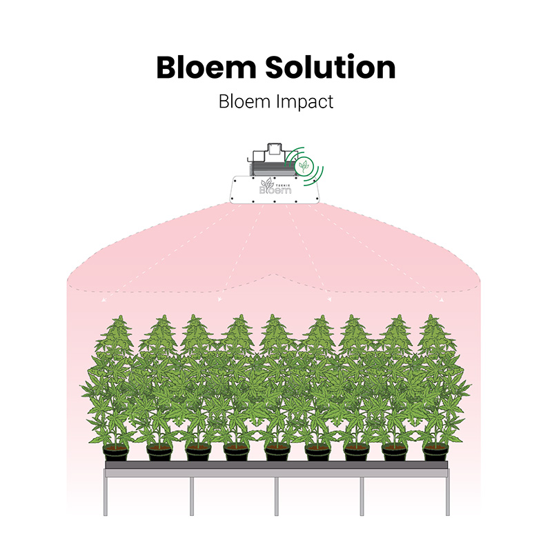 led light beam cannabis