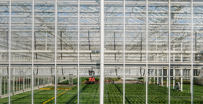 Enhancing Horticultural Lighting with Preventive Maintenance