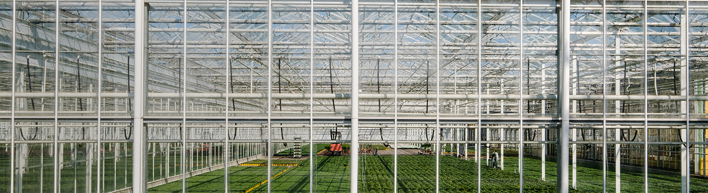 greenhouse controls