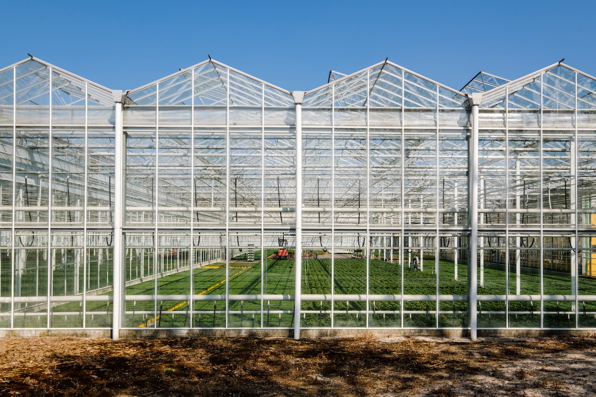 greenhouse controls