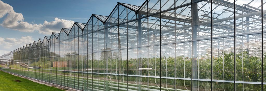 Bloemteknik UK Innovate