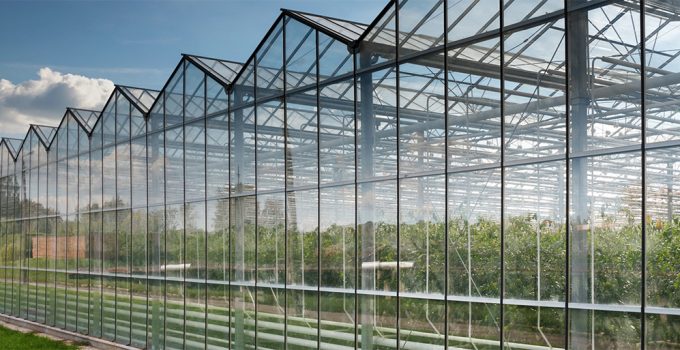 Bloem Secures £700k+ Innovate UK-Supported R&D Project to Accelerate Autonomous Greenhouse Lighting Platform